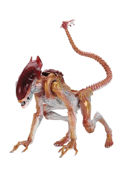 Aliens akčná figúrka Panther Alien (Kenner Tribute) 23 cm obrázok 1