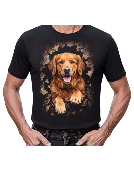 Animal Collection - Golden Retriever (tričko) obrázok 1