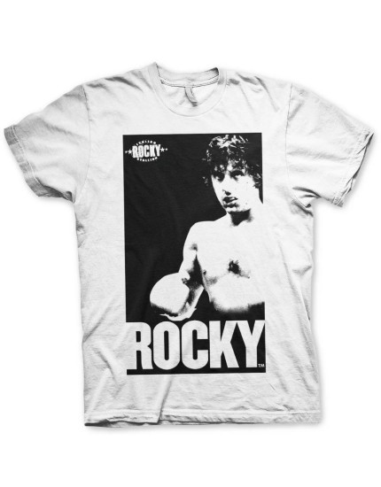 Rocky Vintage Photo (T-Shirt) obrázok 1