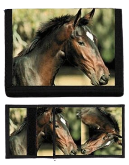 Horses Collection Motive 5 peňaženka obrázok 1