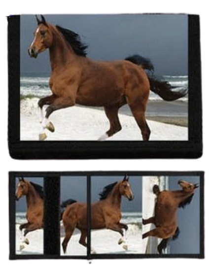 Horses Collection Motive 6 peňaženka obrázok 1