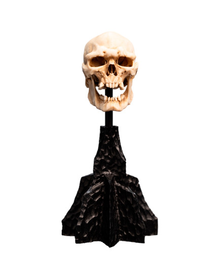 Lord of the Rings Miniature Skull of a Mordor Orc 15 cm obrázok 1