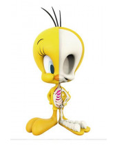 Looney Tunes - XXRAY Figure Tweety 10 cm