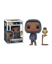 Pop! Games - Destiny - Hawthorne With Louis