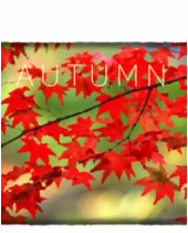 Autumn (PC) (digitálny produkt)