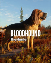 theHunter - Call of the Wild - Bloodhound (PC) (digitálny produkt)