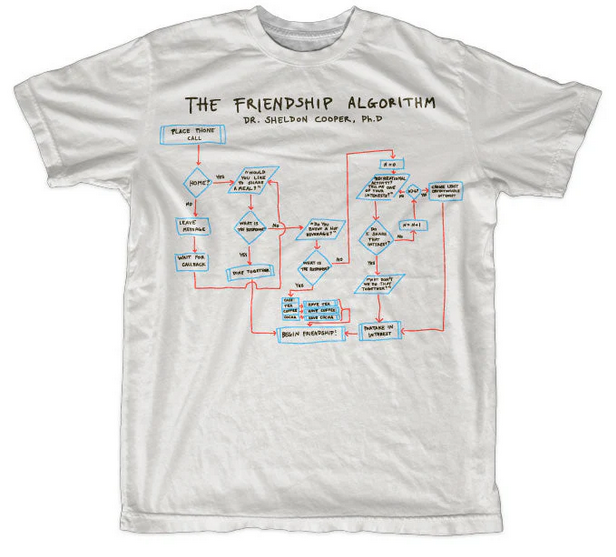 Big Bang Theory Friendship Algorithm (T-Shirt) S